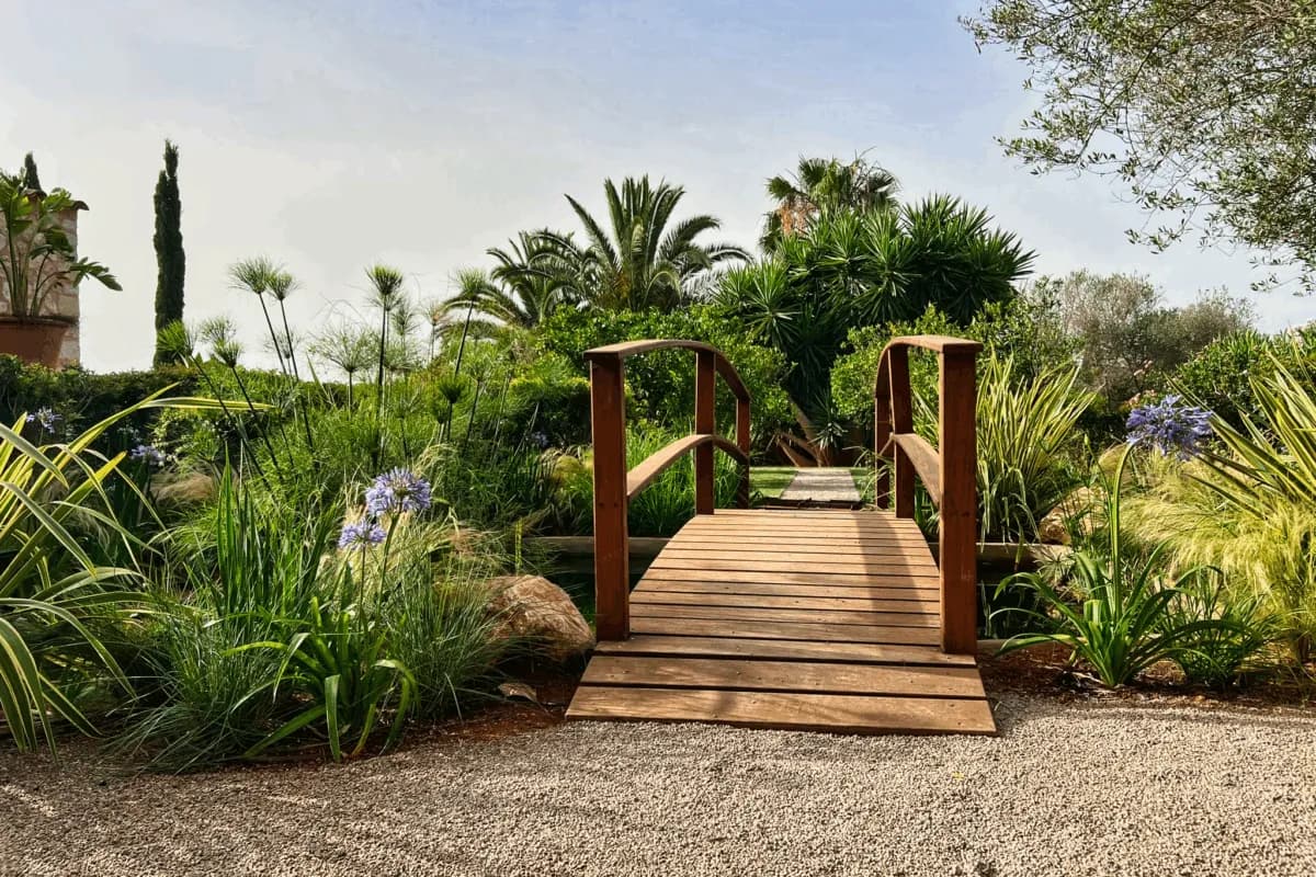 Wooden walkway through Mediterranean planting