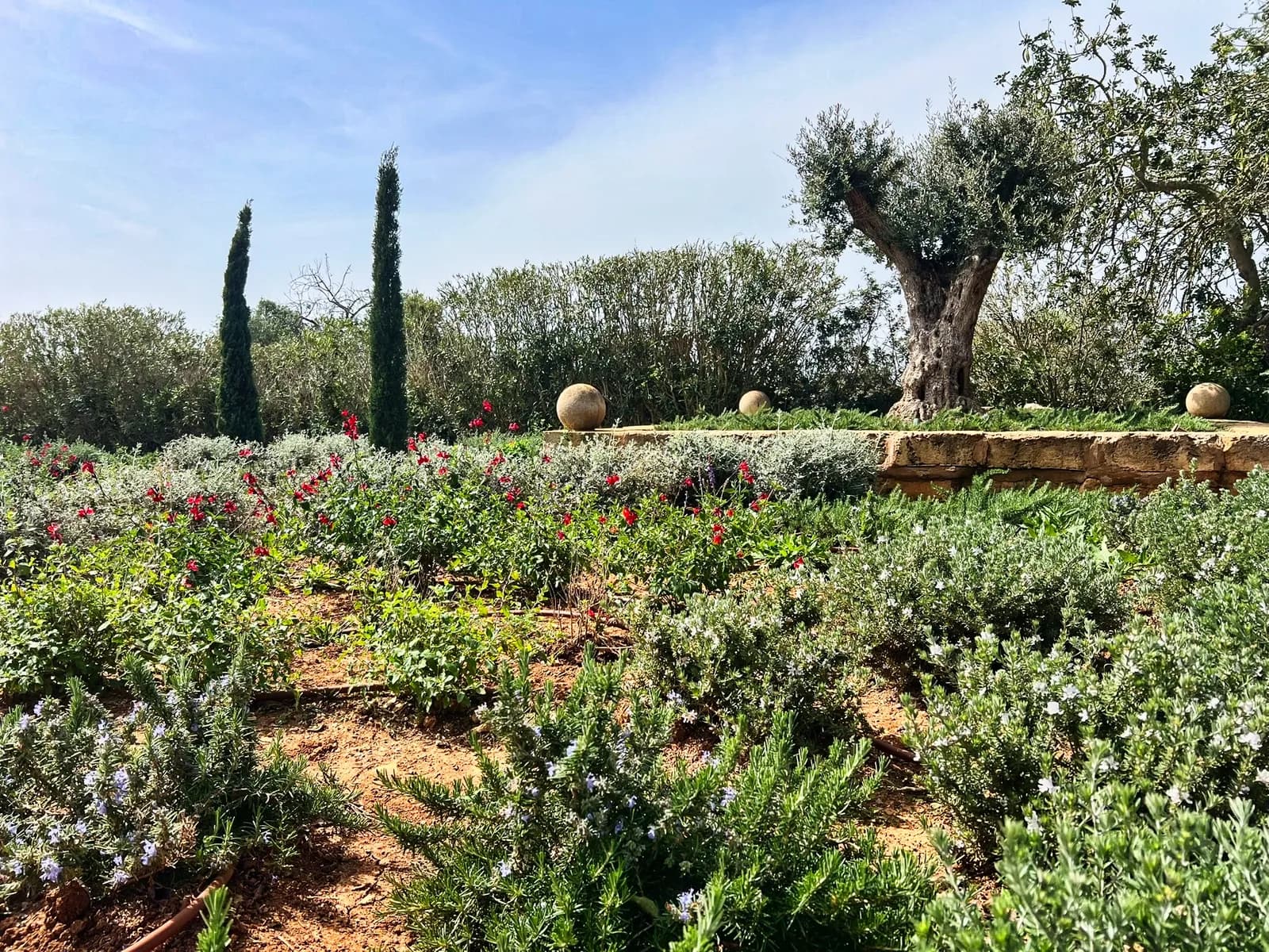 Garden construction in Mallorca