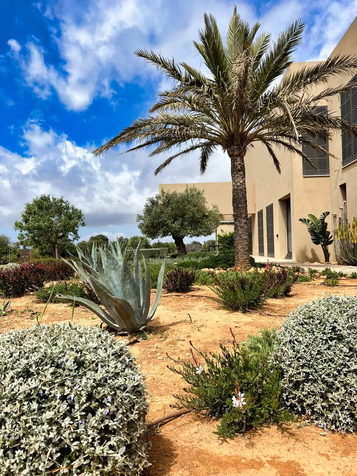 Sculpture garden — 01