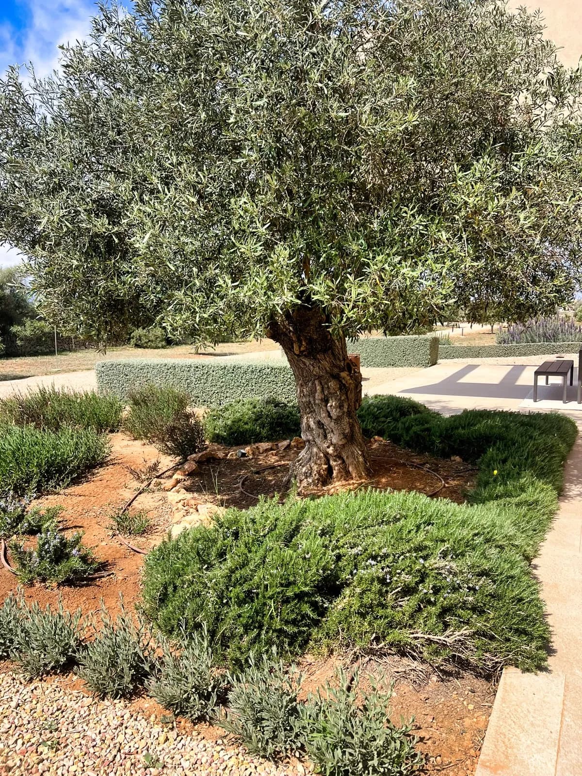 Sculpture garden — 04