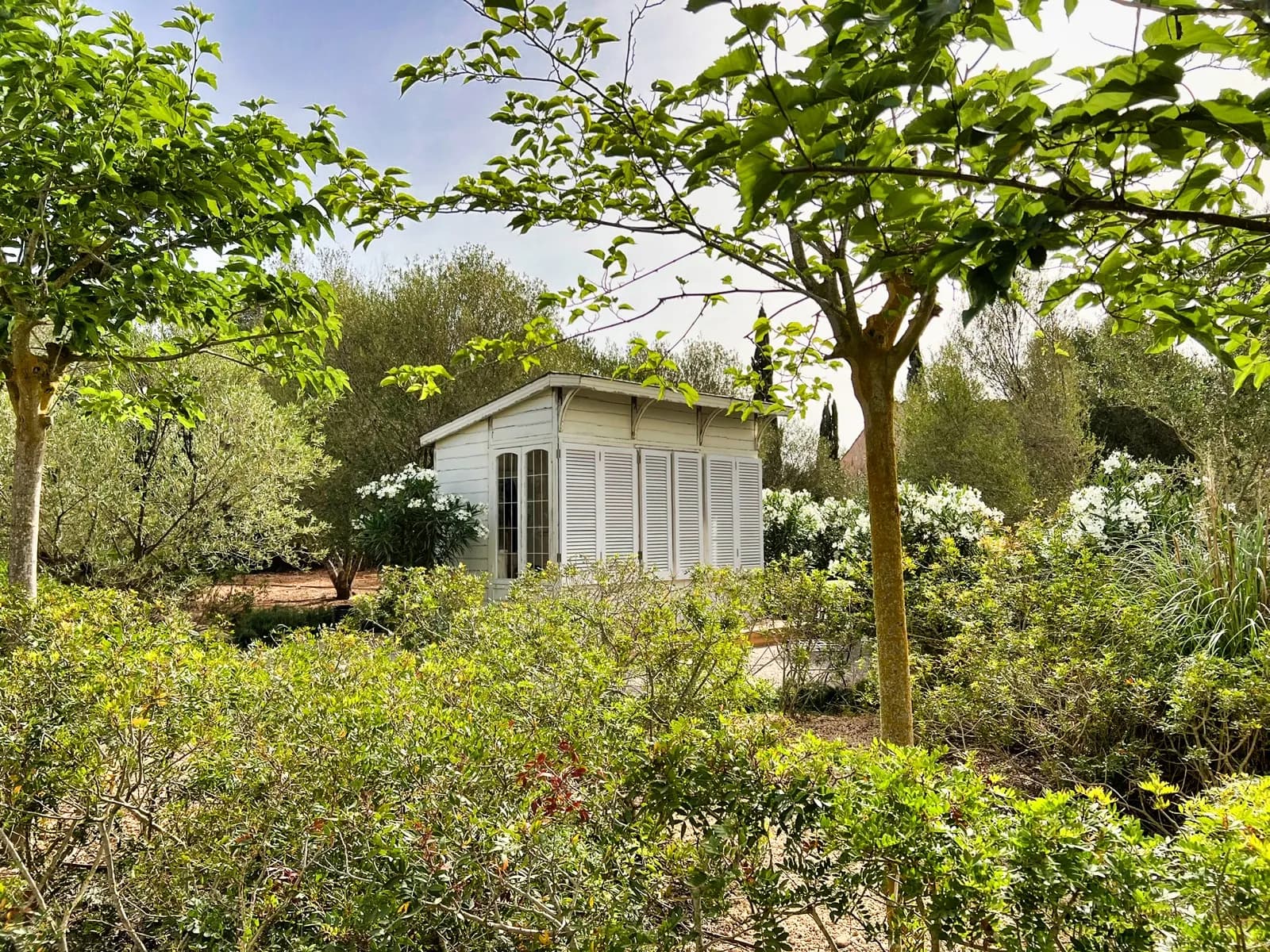 Jardín junto al estanque — 03