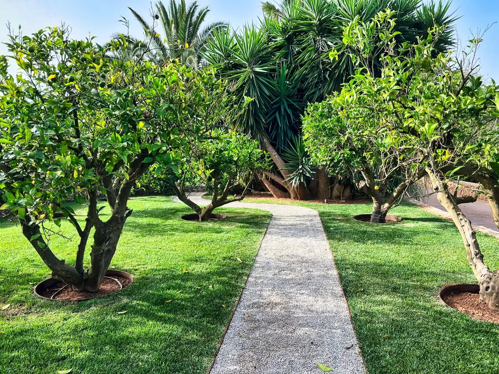 Jardín junto al estanque — 06