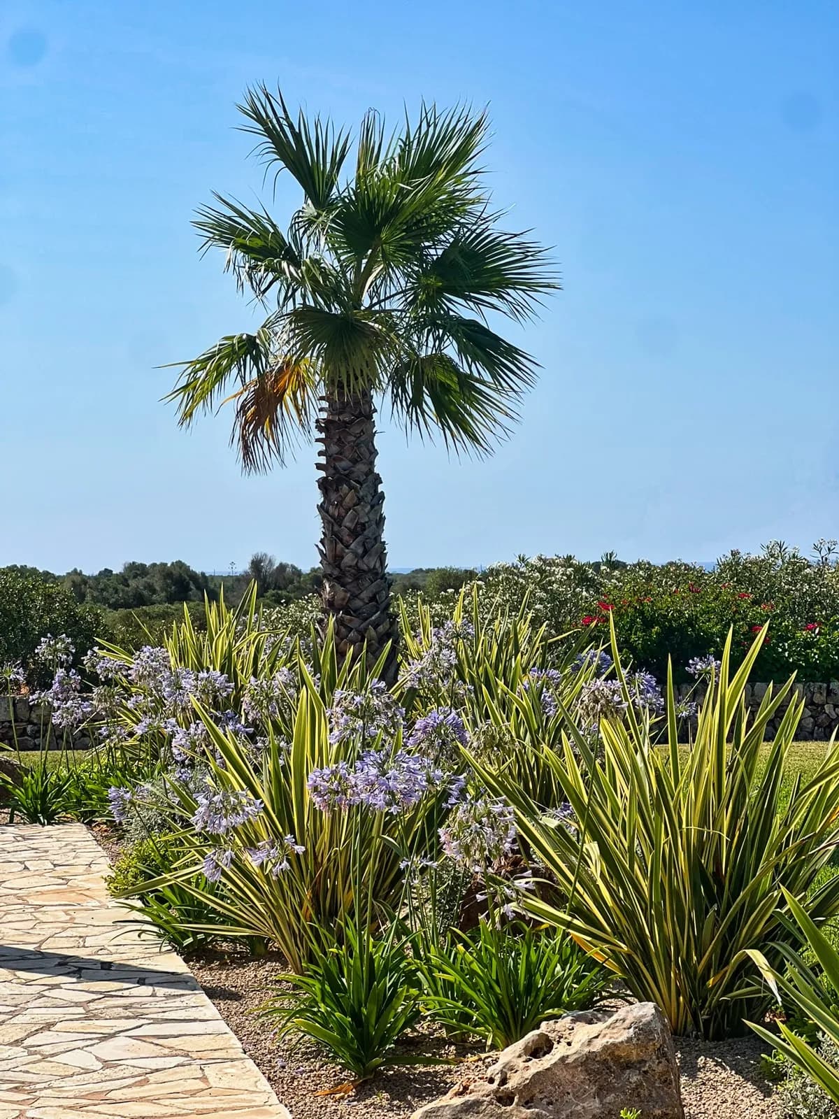 Jardín familiar — 10