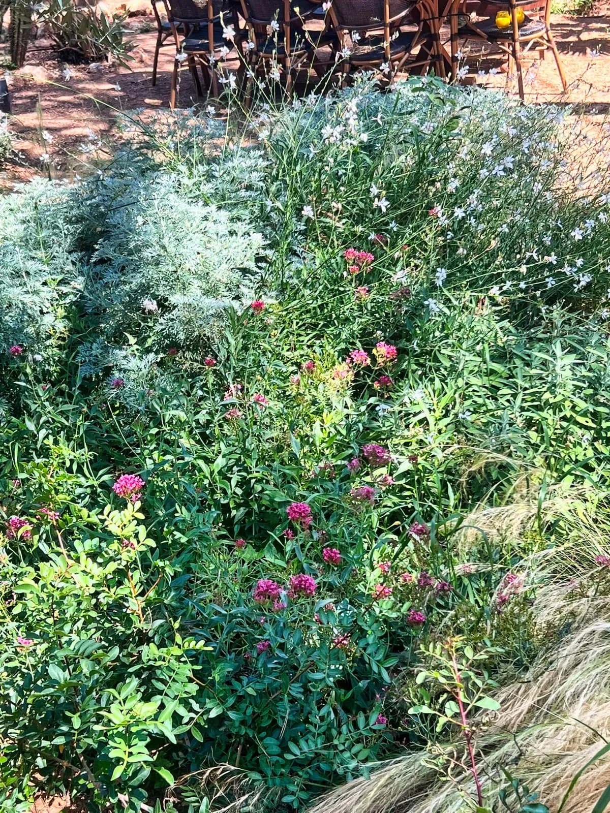 Secret garden — 01
