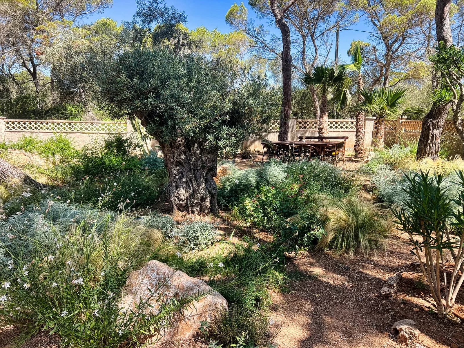 Secret garden — 02