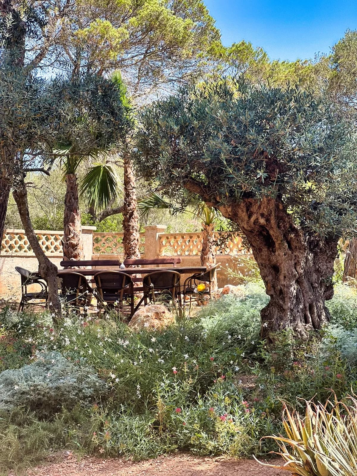 Secret garden — 06