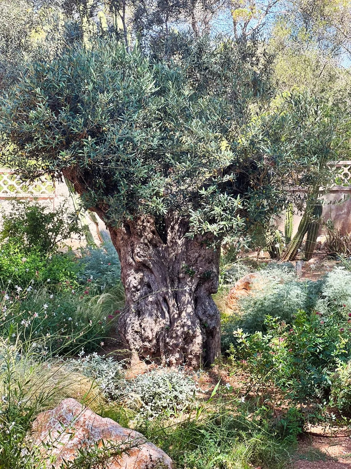 Secret garden — 07